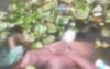খুলনায় ক্যানেল থেকে যুবকের মরদেহ উদ্ধার, রহস্যময় মৃত্যু
