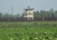সীমান্তে ভারতীয় চোরাকারবারীদের লক্ষ্য করে বিজিবির গুলি