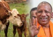 গরু কোন পশু নয়, আমাদের মা: যোগী আদিত্যনাথ