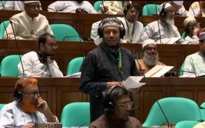 লালন সাঁইয়ের মাজারে সংস্কৃতির নামে অনৈতিক কাজ চলে: সংসদে আমির হামজা