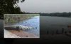 কুমির সরিয়ে নেওয়ায় ক্ষোভ খাদেমের, মাজারের দিঘিতে ফিরিয়ে দেওয়ার দাবি