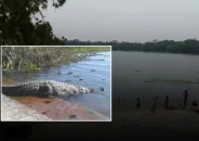 বাগেরহাটে দিঘিতে কুমিরে ধরে নেওয়ার ৯ ঘণ্টা পর শিশুর মরদেহ উদ্ধার