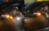 ভাঙ্গায় মহাসড়কে পার্কিং নিয়ে কথা কাটাকাটি, পিস্তল বের করে যুবকের গুলি
