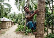 চুরি করতে গিয়ে ভিমরুলের কামড়, ‘জীবন বাঁচাতে’ বাড়ির মালিককেই ডাকলেন চোর