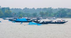 জলবায়ু পরিবর্তনের কষাঘাতে সুন্দরবন উপকূল