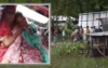 পটুয়াখালীতে সালিশে গিয়ে মারধরের শিকার নারী ইউপি সদস্য