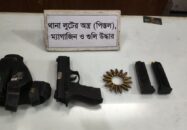 থানা থেকে লুট হওয়া পিস্তল-গুলি বসতঘরের মাটির নিচ থেকে উদ্ধার