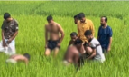 পল্লি বিদ্যুতের ছেঁড়া তারে জড়িয়ে দুই চাচাতো ভাইয়ের মৃত্যু