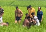 পল্লি বিদ্যুতের ছেঁড়া তারে জড়িয়ে দুই চাচাতো ভাইয়ের মৃত্যু