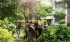 ইবিতে বাসকাণ্ডে ফের সংঘর্ষ, আহত অনেকেই