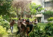 ইবিতে বাসকাণ্ডে ফের সংঘর্ষ, আহত অনেকেই