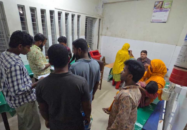 পাবনায় ‘পাগলা’ শিয়ালের কামড়ে শিশুসহ আহত ১১