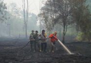 বিশ্বে সাড়ে ৪ লাখ মানুষের প্রাণহানির শঙ্কা, যারা সর্বোচ্চ ঝুঁকিতে