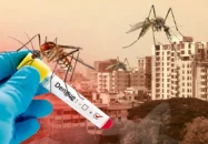 ডেঙ্গুতে আরও ২ মৃত্যু, হাসপাতালে ভর্তি ৯৮৮