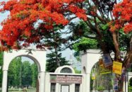ইবিতে আপত্তিকর অবস্থায় প্রেমিক যুগল আটক, আজ বিয়ে