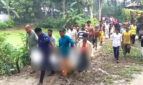 নিখোঁজের পরদিন হলুদক্ষেতে মিলল ব্যবসায়ীর ঝলসানো মরদেহ