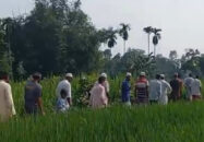 স্বামীকে দাফনের এক ঘণ্টা পর স্ত্রীর মৃত্যু
