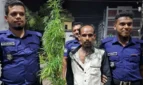 বাড়ির আঙিনায় টবে গাঁজা চাষ, আটক ১