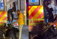সরকারি অ্যাম্বুলেন্সে ছাগল বহন, ভিডিও ভাইরালের পর চাকরি হারালেন চালক